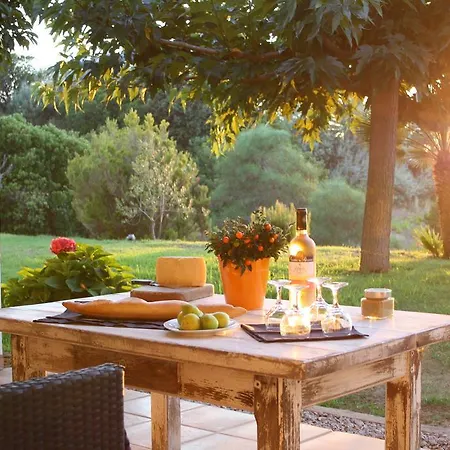 Casa Di Andria Pietrosella